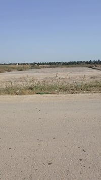 العزيزية واسط • برينج • ٣٩١٥م