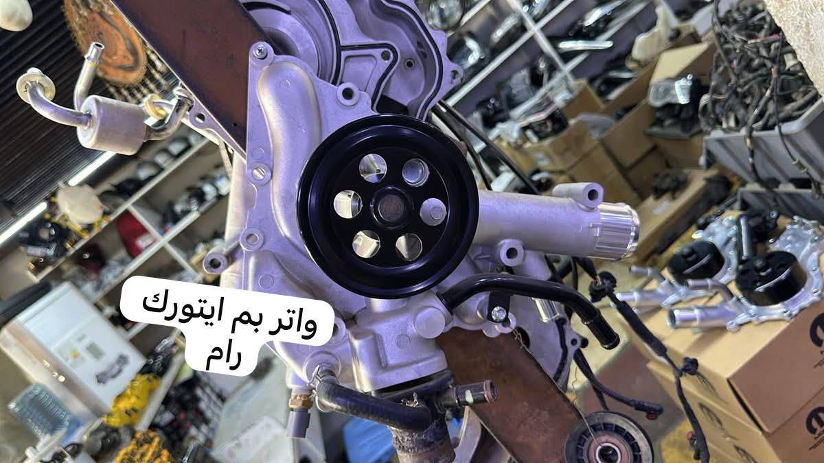 علي رشيد
البصره صناعيه حمدان
الاربع شوارع
متواجد
8ص
3م

‭+964 771 876 4777‬


**إذا كنت صاحب هذا الإعلان وتريد حذفه لأي سبب، رجاءا أرسل رسالة إلى الدعم الفني**