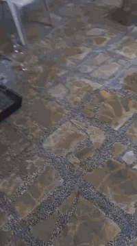 بيت ١٥٠ م طابق واحد في  لإيجار حي التراث المربع الذهبي للتفاصيل الاتصا...