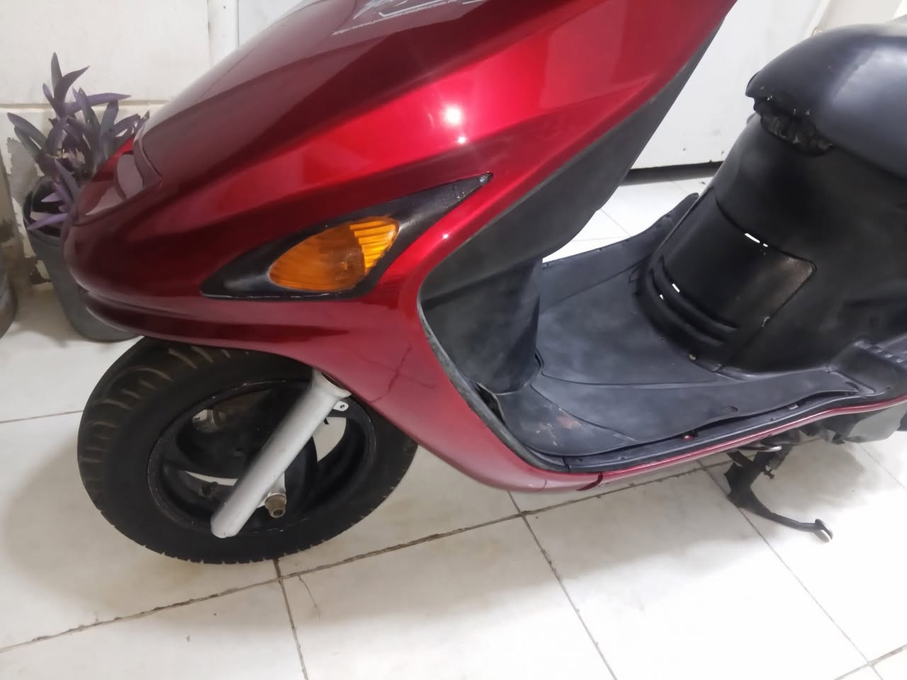 دراجه فراشه فحل للبيع مابيهه اي نقص سعرهه 300 الف ***********
مكانها حله ابو خستاوي
