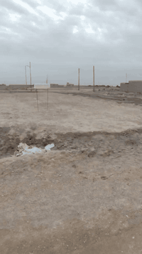 سلام عليكم شباب قطعه زراعي ركن عله اربع شوارع مدفونه ومحدوله اناره شارع سبيس ماي 💦كهرباء السعر 10مليون وبيها مجال بسيط ***********واتساب
