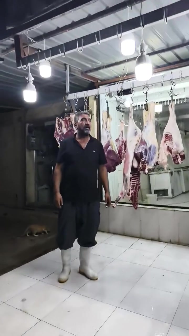 السلام عليكم قصابة الحاج يونس يوجد لدينا لحم طلي 18الف يوجد لدينا لحم عجل بل العظم ١٢ الشرح 18🐄🐄🐑🐑***********
