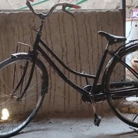 النجف • دراجة هوائية