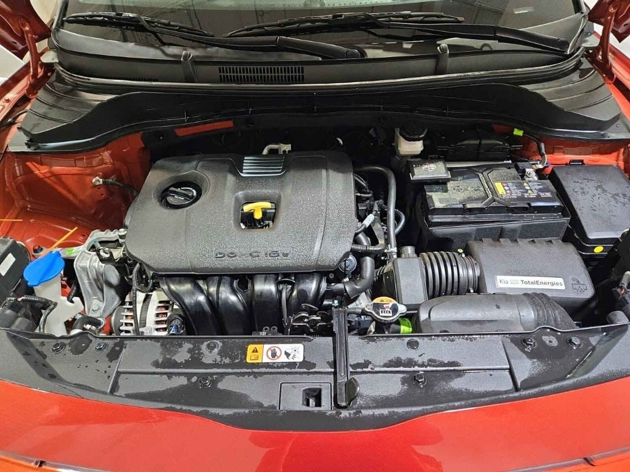 سلام عليكم صول ٢٣ بيه بس جاملغ صبغ كله ليبل واحد بدون ايرباك السياره جاهز اريد مرواس كورلا ٢٥/٢٤/٢٣ هايبرد بابل او بغداد ***********
