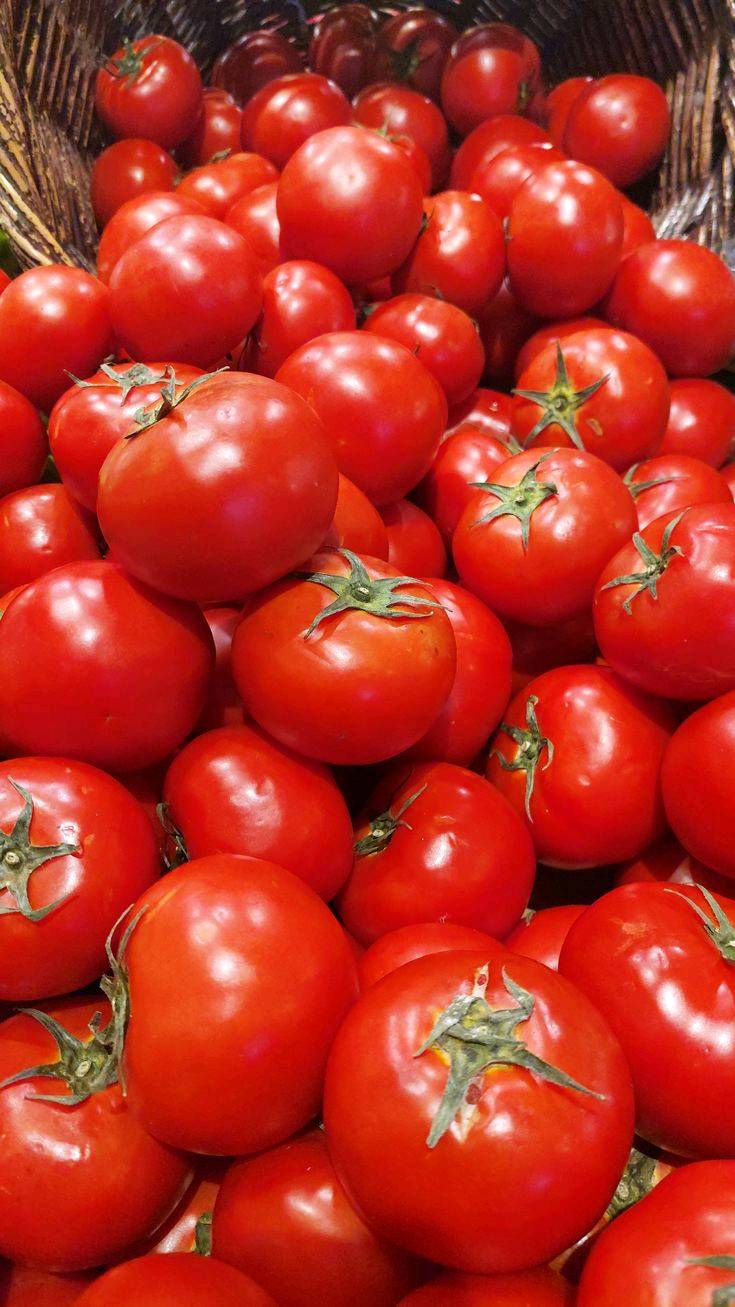 🌞 بهذا الحر... ليش تتعب نفسك؟

خلّ مسوكجي النجف ينجز مشاويرك عنك!

🥒 خضار طازجة
🍎 فواكه مختارة
🚗 توصيل سريع إلى باب البيت

وفر وقتك، وابتعد عن زحمة الأسواق وحرّ الشمس.

📩 راسلنا بطلبك، وخلي الراحة علينا.***********

مسوكجي النجف... مشوارك علينا، وراحتك هدفنا. 💚