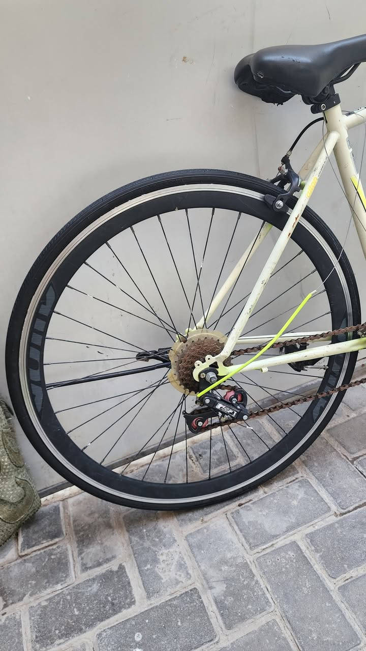 باله ياباني  حاويه
٨٥ الف.  مدينه الصدر 
***********
