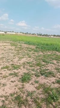 جديده الاغوات • دونم • طابو زراعي