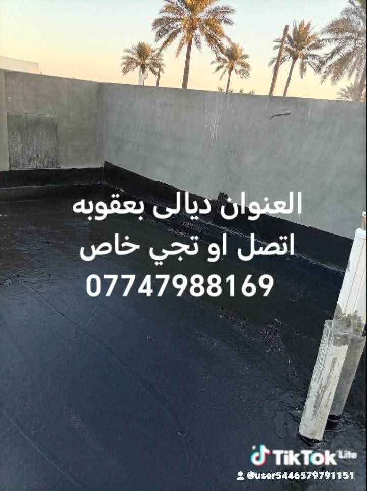 العنوان ديالى بعقوبة ليحب يتصل أو يجي خاص ***********

