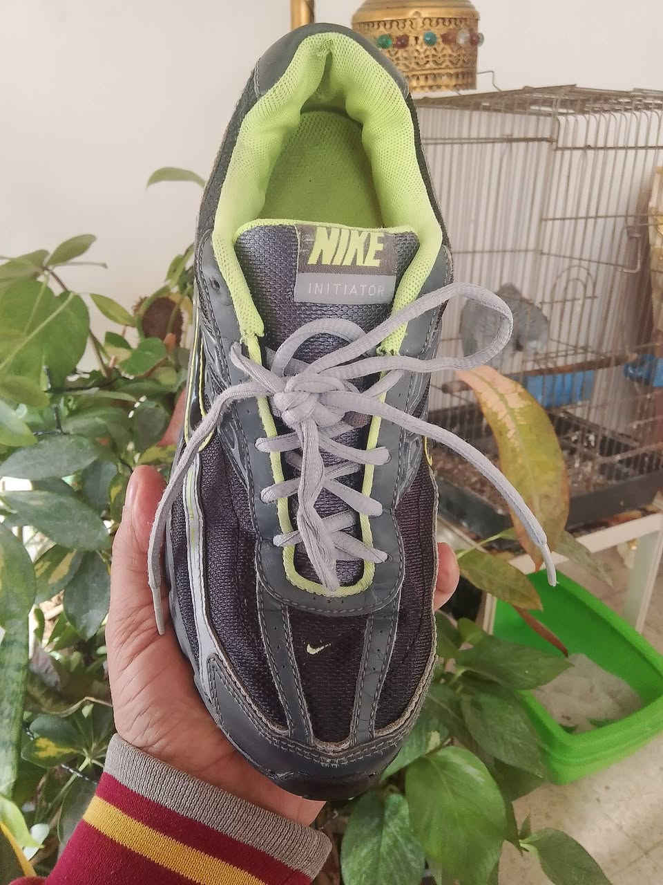NIKE INITIATOR 
saiz.40/5
25/5cm
viatnam
للحجز والاستفسار راسلنا واتس اب وماسنجر عله الرقم الموجود*********** ابو أيمن
توجد خدمة توصيل كل المحافظات
