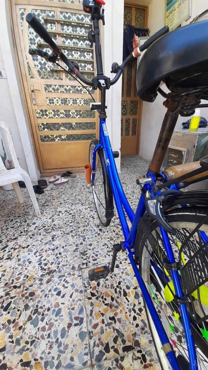 السلام عليكم
من رخصت أدمن الاكروب 

عندي هاذه البايسكل للبيع 

نضافته 85٪ 

مديل 2016

تريد البايسكل هوه والغراض أو بدون عادي 

المكان  بغداد الجديده
السعر واتساب
للتواصل *********** واتساب 

ما اتواجد مازنجر
