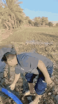 🎉 إعلان عن خدمة حفر الآبار الارتوازية 💧

🚜 خدماتنا تشمل:
🔹 حفر آلي لجميع أنواع الآبار
🔹 الوصول إلى الأماكن المغلقة، الحدائق، والمنازل 🏡🌳
🔹 تنفيذ الحفر حسب الطلب ✨

📞 للاستفسار والتواصل:
💬 راسلوا الصفحة مباشرة
📱 للأتصال: ***********
💡 لا تترددوا في الاتصال بنا للحصول على خدمات موثوقة! ⛏️
#حفر #الابار #الارتوازية #الناصرية #العراق #السماوة #ميسان #البصرة #البطحة
