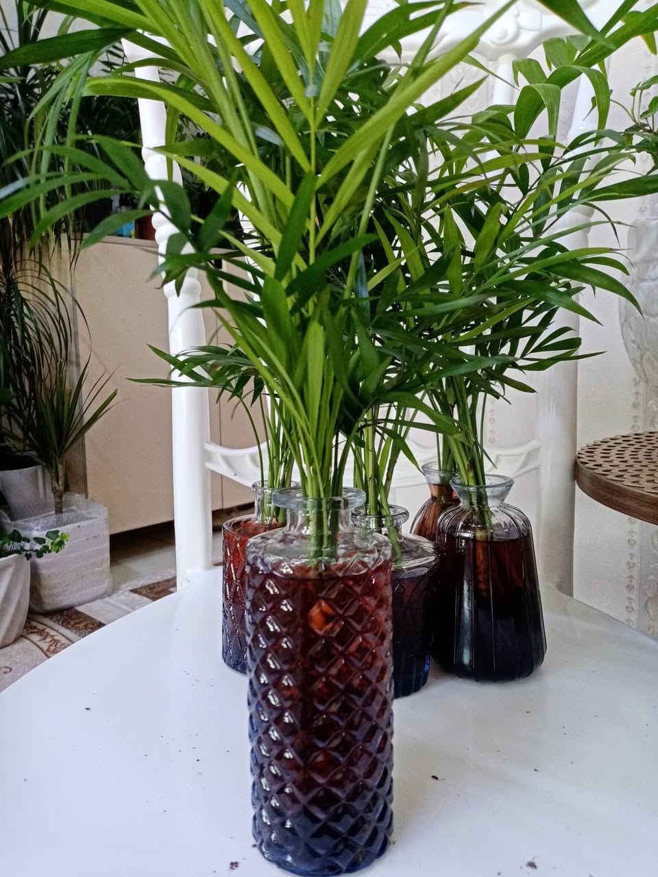 زرع طبيعي ماءي قاروره زرع بلتربه سعر حسب حجم كبير


**إذا كنت صاحب هذا الإعلان وتريد حذفه لأي سبب، رجاءا أرسل رسالة إلى الدعم الفني**