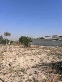 ابي الخصيب ابو كوصره • ١٠٠٠م • واجهة ٢٤م