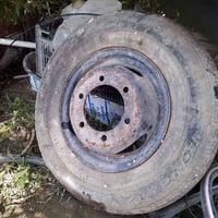 ويل • فحل • الدجيل