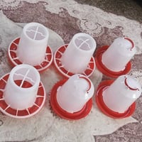 كلهن • واصل