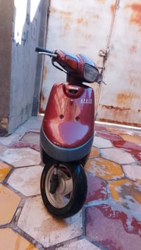 ابريو • فحل • باتري