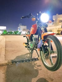 دايون • موديل 23 • أوراق أصلية