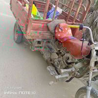 ستوته • كهربائيات شغالة • أوراق