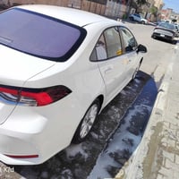 كورله هايبرد • ٢٠٢٥ • بصرة حره