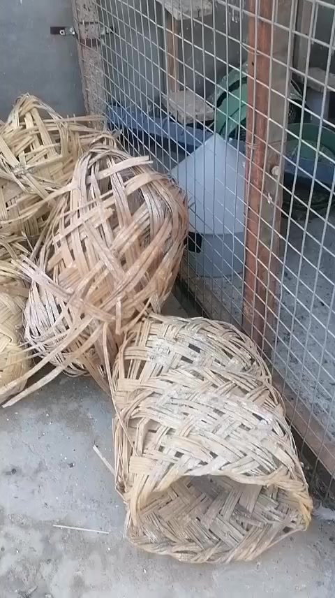 للبيع


**إذا كنت صاحب هذا الإعلان وتريد حذفه لأي سبب، رجاءا أرسل رسالة إلى الدعم الفني**