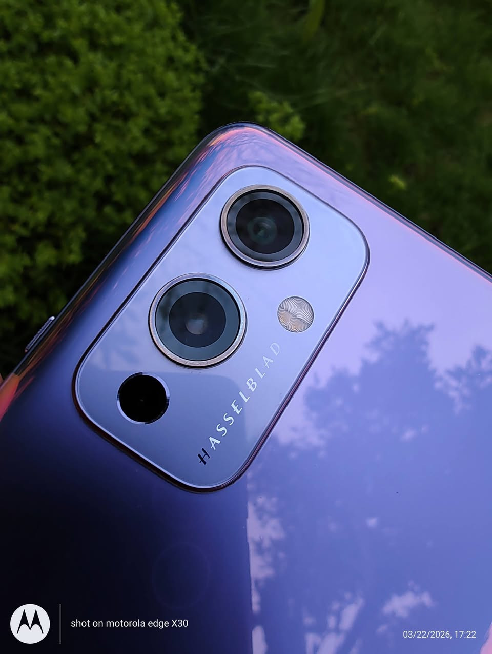 ❌❌❌ بيع فقط ❌❌❌

#𝗢𝗻𝗲𝗣𝗹𝘂𝘀_𝟵_𝟱𝗚
#ون_بلص_𝟵_العادي

📦 مع كفر ولاصق شاشة وشاحن  📦

💰 السعر : 𝟮𝟬𝟱  ألف 💰

📦 توصيل فقط 📦

[  يدعم 𝟭 سيم كارد - خط واحد ]

[المعالج]

 * العليا: 𝗤𝘂𝗮𝗹𝗰𝗼𝗺𝗺 𝗦𝗻𝗮𝗽𝗱𝗿𝗮𝗴𝗼𝗻 𝟴𝟴𝟴 𝟱𝗚 (تكنولوجيا 𝟱 نانومتر)، معالج رائد يقدم أداءً جباراً في الألعاب الثقيلة مثل 𝗣𝗨𝗕𝗚 و 𝗚𝗲𝗻𝘀𝗵𝗶𝗻 𝗜𝗺𝗽𝗮𝗰𝘁.

 * معالج الرسوميات: 𝗔𝗱𝗿𝗲𝗻𝗼 𝟲𝟲𝟬، يضمن تجربة بصرية سلسة جداً مع استقرار عالي في الفريمات.

 * الرام: 𝟴𝗚𝗕 من نوع 𝗟𝗣𝗗𝗗𝗥𝟱 السريع جداً في نقل البيانات.

 * التخزين: 𝟭𝟮𝟴𝗚𝗕 من نوع 𝗨𝗙𝗦 𝟯.𝟭 (سرعة فائقة في فتح التطبيقات ونقل الملفات).

 * نظام التشغيل: أندرويد 𝟭𝟰 مع واجهة 𝗢𝘅𝘆𝗴𝗲𝗻𝗢𝗦، وهي الواجهة الأسرع والأكثر سلاسة واستقراراً في عالم الأندرويد.

[الشاشة]

 * النوع: 𝗙𝗹𝘂𝗶𝗱 𝗔𝗠𝗢𝗟𝗘𝗗 تدعم 𝟭 مليار لون.

 * المقاس: 𝟲.𝟱𝟱 إنش بدقة 𝗙𝗛𝗗+.

 * معدل التحديث: 𝟭𝟮𝟬𝗛𝘇 (يوفر استجابة فورية ونعومة تامة في الاستخدام).

 * الحماية: طبقة 𝗖𝗼𝗿𝗻𝗶𝗻𝗴 𝗚𝗼𝗿𝗶𝗹𝗹𝗮 𝗚𝗹𝗮𝘀𝘀 𝟱.

 * الميزات: تدعم 𝗛𝗗𝗥𝟭𝟬+ وسطوع عالٍ يصل إلى 𝟭𝟭𝟬𝟬 𝗻𝗶𝘁𝘀، مع دقة ألوان واقعية جداً بفضل التعاون مع 𝗛𝗮𝘀𝘀𝗲𝗹𝗯𝗹𝗮𝗱.

[الكاميرات] (بالتعاون مع 𝗛𝗮𝘀𝘀𝗲𝗹𝗯𝗹𝗮𝗱)

 * الخلفية (ثلاثية):

 * الأساسية: 𝟰𝟴𝗠𝗕 بمستشعر 𝗦𝗼𝗻𝘆 𝗜𝗠𝗫𝟲𝟴𝟵، تقدم تفاصيل غنية وألواناً طبيعية.

 * الزاوية الواسعة: 𝟱𝟬𝗠𝗕 (مستشعر 𝗦𝗼𝗻𝘆 𝗜𝗠𝗫𝟳𝟲𝟲) مع عدسة "𝗙𝗿𝗲𝗲𝗳𝗼𝗿𝗺" لمنع تشوه الصورة عند الأطراف، وتدعم تصوير الـ 𝗠𝗮𝗰𝗿𝗼.

 * العزل/أبيض وأسود: 𝟮𝗠𝗕 لإضافة عمق وتفاصيل فنية للصور.

 * تصوير الفيديو: يدعم تسجيل فيديو احترافي بدقة 𝟴𝗞 بمعدل 𝟯𝟬 إطار، و 𝟰𝗞 بمعدل يصل لـ 𝟲𝟬 إطار.

 * الأمامية (𝗦𝗲𝗹𝗳𝗶𝗲): بدقة 𝟭𝟲𝗠𝗕 بمستشعر 𝗦𝗼𝗻𝘆 𝗜𝗠𝗫𝟰𝟳𝟭، تدعم الـ 𝗔𝘂𝘁𝗼-𝗛𝗗𝗥 وتصوير فيديو 𝟭𝟬𝟴𝟬𝗽.

[البطارية والشحن]

 * سعة البطارية: 𝟰𝟱𝟬𝟬𝗺𝗔𝗵.

 * الشحن السريع: تقنية 𝗪𝗮𝗿𝗽 𝗖𝗵𝗮𝗿𝗴𝗲 𝟲𝟱𝗧 بقوة 𝟲𝟱 واط (يشحن من 𝟭% إلى 𝟭𝟬𝟬% في حوالي 𝟮𝟵 دقيقة فقط).

 * الشحن اللاسلكي: يدعم الشحن اللاسلكي بقوة 𝟭𝟱 واط.

[الإضافات والخامات]

 * الخامات: ظهر من الزجاج المحمي بـ 𝗚𝗼𝗿𝗶𝗹𝗹𝗮 𝗚𝗹𝗮𝘀𝘀 𝟱 مع إطار بلاستيكي متين بلمسة فاخرة.

 * الصوت: سماعات 𝗦𝘁𝗲𝗿𝗲𝗼 مزدوجة مع دعم تقنية 𝗗𝗼𝗹𝗯𝘆 𝗔𝘁𝗺𝗼𝘀 لصوت محيطي واضح.

 * البصمة: مدمجة تحت الشاشة (بصري) سريعة جداً ودقيقة.

 * الاتصال: يدعم 𝟱𝗚، 𝗪𝗶-𝗙𝗶 𝟲، 𝗕𝗹𝘂𝗲𝘁𝗼𝗼𝘁𝗵 𝟱.𝟮، و 𝗡𝗙𝗖.

 * مقاومة الماء: مقاوم لرزاذ الماء والغبار (تصميم محكم).


**إذا كنت صاحب هذا الإعلان وتريد حذفه لأي سبب، رجاءا أرسل رسالة إلى الدعم الفني**