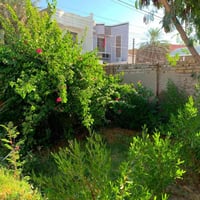 🏡 بيت للإيجار – حي الفرات  📍 العنوان: حي الفرات، مقابل مدرسة الأقصى.  ...