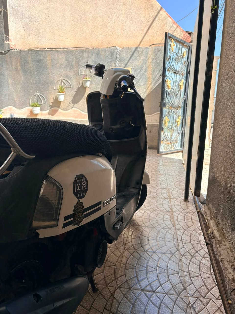 سلام عليكم دراجه بوليس للبيع دراجه خير من الله دراجه كله مختمه حته صندوك مختم دراجه اخت الزيرو سعره مناسب العنوان ديالى بعقوبه بهرز 
الرقم ***********
