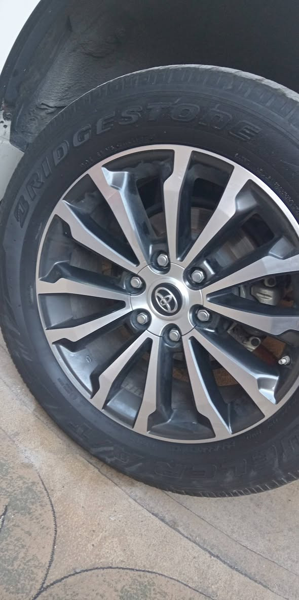 بشرط مابي شخط ولا عوج ولا كسر نظيف ٪100 شراي يخابر يدلل
اتروس ب ويل 18 او 20 تخم كامل
عنوان كركوك
*********** كركوك, العراق
