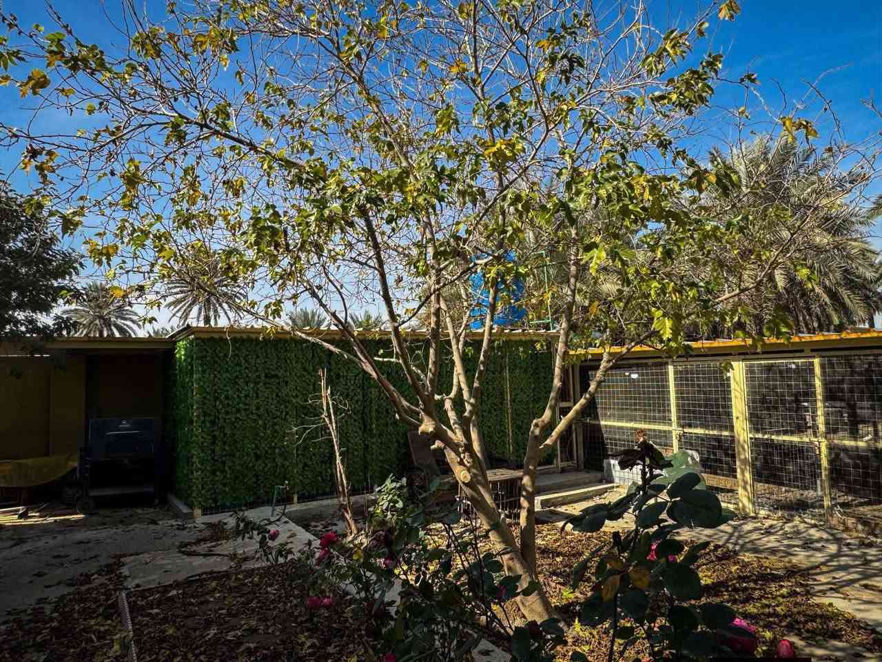 موقع مثالي في كربلاء💯
✅️مزرعة للبيع مساحة 
خمسة دونم واجهة 200 م  
تحتوي على دار إستراحة 
تحتوي على 250 نخلة ملونة 
تحتوي على 900 شجرة مثمرة 

✅️متوفرة كافة الخدمات
تبليط، ماء، كهرباء، مدارس 
طابو سند 25 سند مستقل 
منفرد بإسم شخص واحد 

✅️الموقع كربلاء - شارع رابط
 الزبيلية( قرب معمل غاز العرفان ) 
تبعد عن شارع رابط الزبيلية 500 م
تبعد من مركز مدينة كربلاء 10 كم 

💰السعر مليار وربع  عقاري كربلاء 

📞إتصل الآن:  ***********
