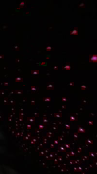 نشرة سيارة • للبيع • اكسسوار سيارة