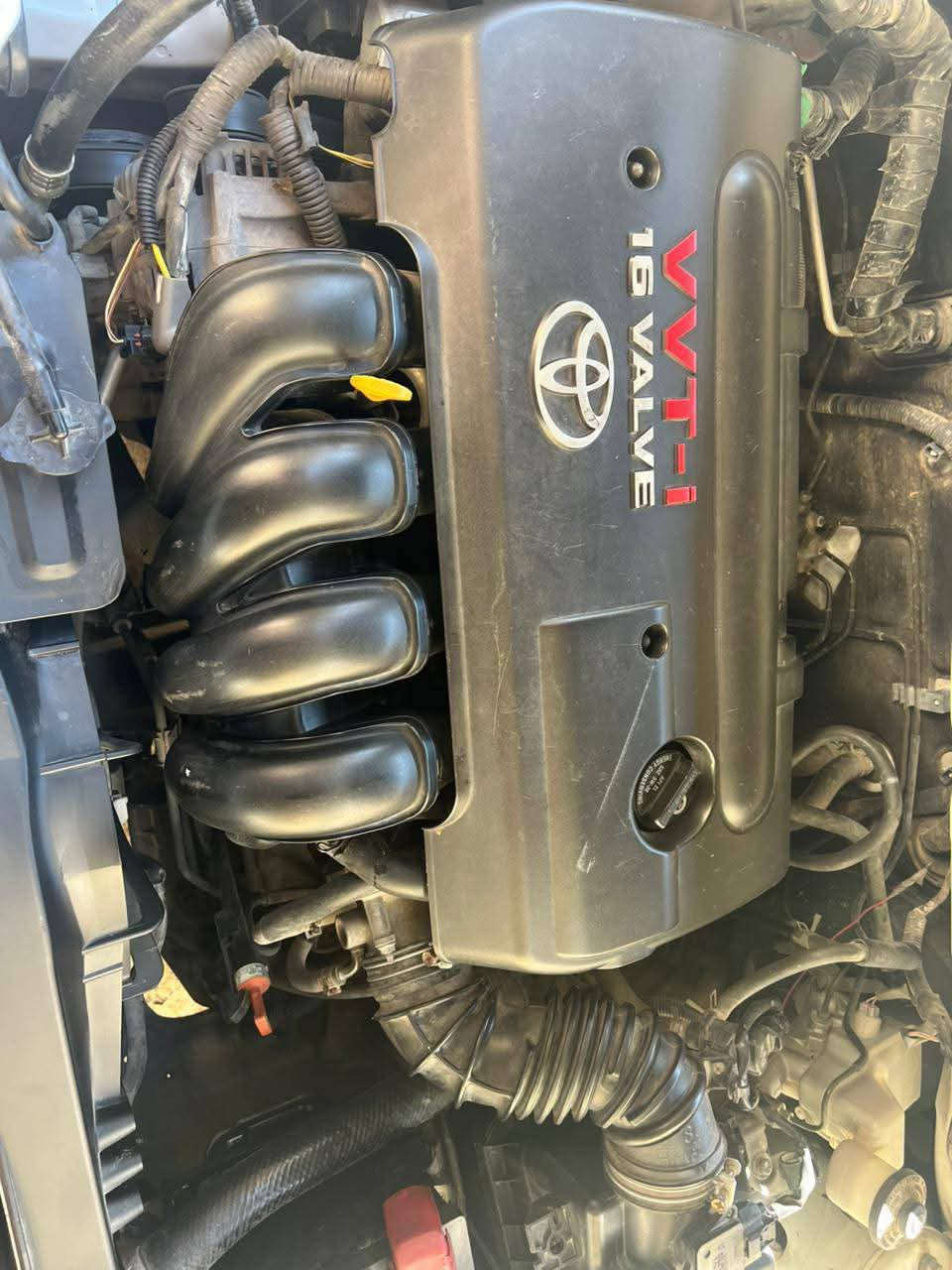 كورلا نحلة 🐝  اللبيع وارد امريكي بيه طخه بل جاملغ الجه اليسره جوه قاعده وبيه رشات صبغ اثر ازلوغ مو صبغ عام فقط كم قطعه اثر زلوغ (الممشئ 140الف حقيقي) بسمي تحويل مباشر موديل (2008)مكينه كير حداديه تبريد تدفئه كلهن كفاله السعر 100 قفل 🔒🔒🔒 مكاني ناصرية مركز رقمي ***********
