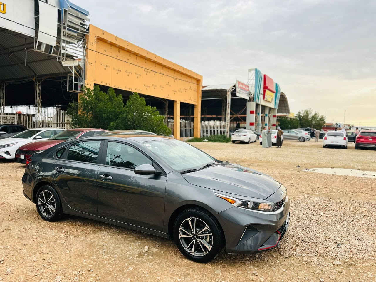 ياالله كيا فورتي موديل 2024 
امرقم شهداء مثنئ وكاله عامه بسم المشتري 
الضرر جاملغ وبنيد تبديل فقط بدون عابر شاصي لغد كفاله راديترات شركه حجر رادار كفاله مواصفات واضحه مكينه 2000 دوش السعرب 142 بيع نقدأ فقط 
اي تفاصيل واتساب ***********
السماوة الرميثه شارع عام معرض احمد ال شمران
