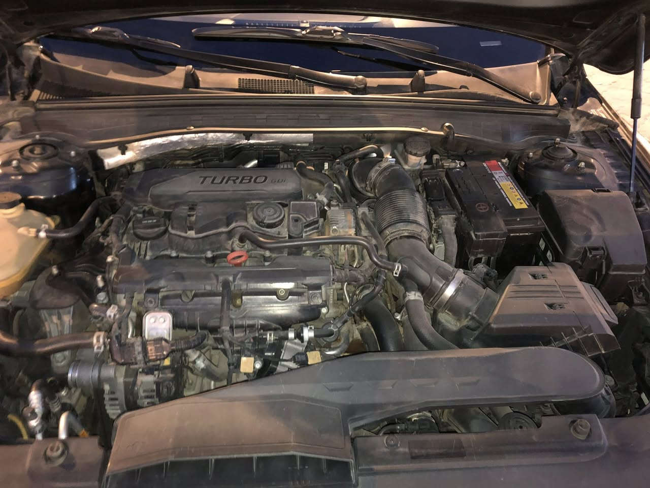 السلام عليكم 
Kia.   K5
موديل
2021
ماشيه 80الف
اللون اسود
مواصفات
شاشه 
كامره
لايت عدسات
بصمه
رادار امامي
رادار خلفي
رادار جانبي
لد امامي خلفي
حساس امامي خلفي
ويل كب
توقف ذاتي 
قياده ذاتيه
تنبيه خروج عن المسار
تحديد مسار 
فول تحكم ستيرن
داخل  اسود
تبريد شاشه بيانو لمس
ترحيب عند الاقتراب
صندوق ذكي
تشغيل عن بعد
محرك1600✈️
صور الحادث بالمنشور فقط جاملغ امامي ايسر وه ربع البنيد
بجم امامي خلفي كبس
الحادث سطحي 
بدون اي دواخل شاصي اللغد والكير والمحرك كلهن مكفولات 
ايرباك برده فقط
صور امريكا بالمنشور
للاستفسار***********
الموقع البصره مناوي باشا قرب شركت رينو
السعر 174$ وبيها مجال
رقم اربيل الدولي تحويل وكاله مضمون
