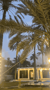 متوفرة حجوزات على مزرعة السند المدائن ب الايام المقبله
واسعار خصومات🫰🏻🫰🏻🫰🏻🫰🏻
اجواء شتويه غير شكل 
للاستفيار والحجوزات على الرقم التالي
***********
