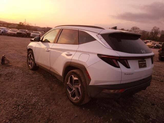 توسان 22 هايبرد محرك 1600 تيربو فول مواصفات بانورما كشن تدفئة و كهرباء كير بيانو عدادات ديجتل صندوك كهرباء 
رادار و تحديد مسار
ماشية 30 الف
السعر 210 
للاستفسار اكثر ***********
