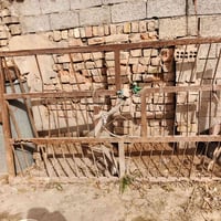 شبجه اقجم مايلر 07811581376