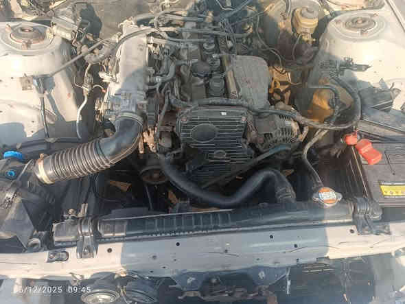 سلام عليكم. ...
مارك مسطره كربلائــي ــ94
مشروع وطنــــــــــي
 محــــرك. ونــــجي 
حداديه فــــــــول 
تخم تايــــر جديد
سياره مصبوغه جماليه 
السعـــــر 60 وبيها مجال حق جيه
ابو زهراء ***********
