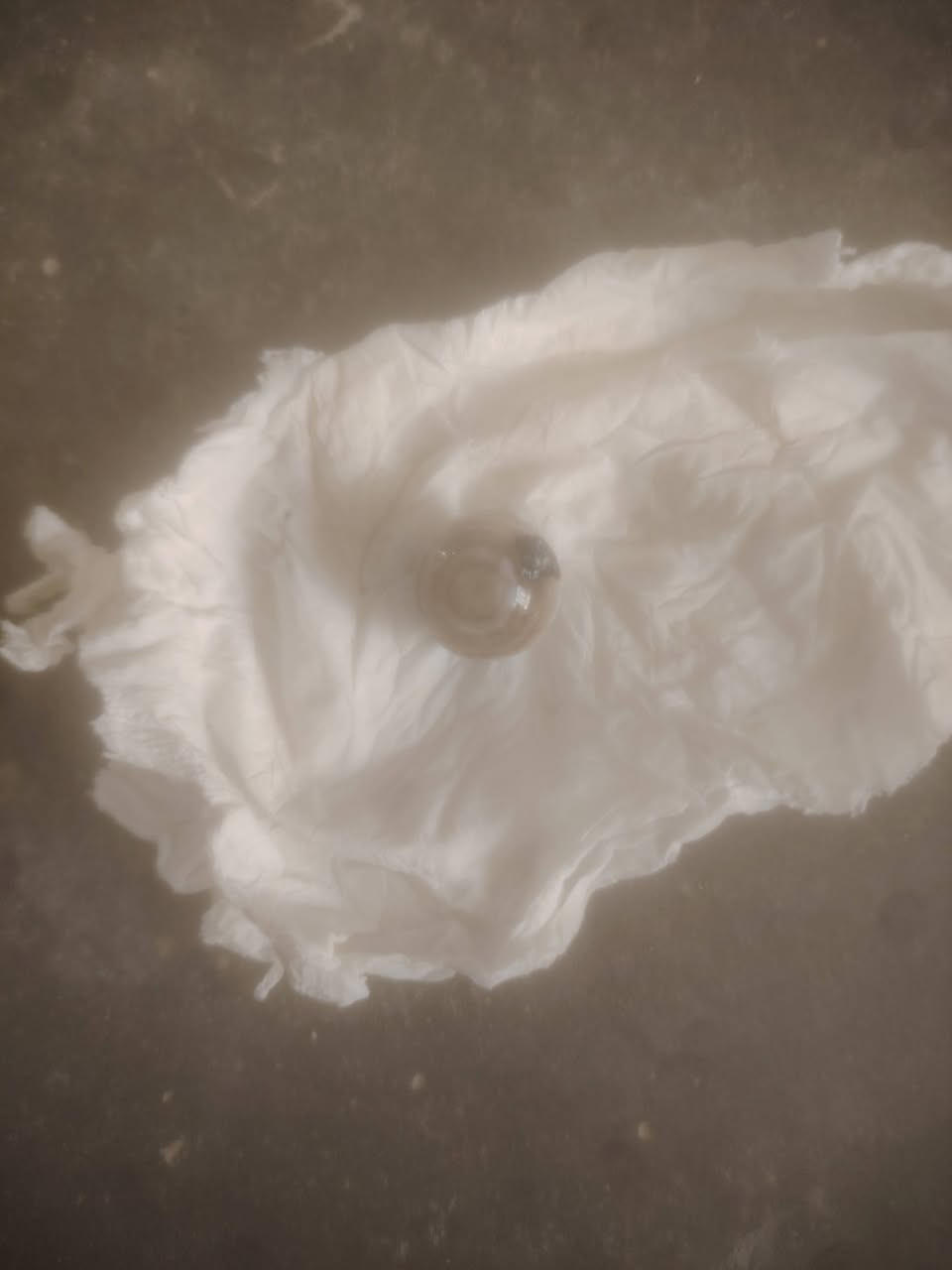 لبيع


**إذا كنت صاحب هذا الإعلان وتريد حذفه لأي سبب، رجاءا أرسل رسالة إلى الدعم الفني**