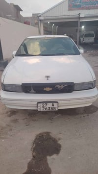 دولفين • مكفولة • بصرة شعيبه