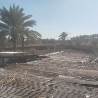 دونم • دونمين • طريق حله نجف