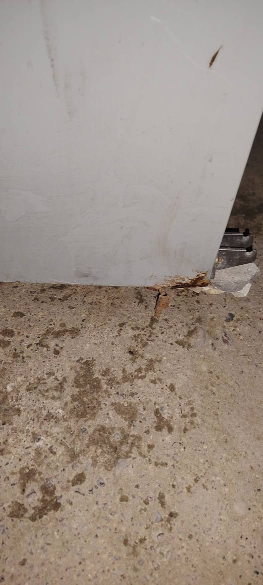 مكلف بالنشر
ثلاجة حجم 22 قدم شغاله شرط،التجميد السعر 125
عنوان الانتصار شارع 60 قرب اسواق الخضراء


**إذا كنت صاحب هذا الإعلان وتريد حذفه لأي سبب، رجاءا أرسل رسالة إلى الدعم الفني**