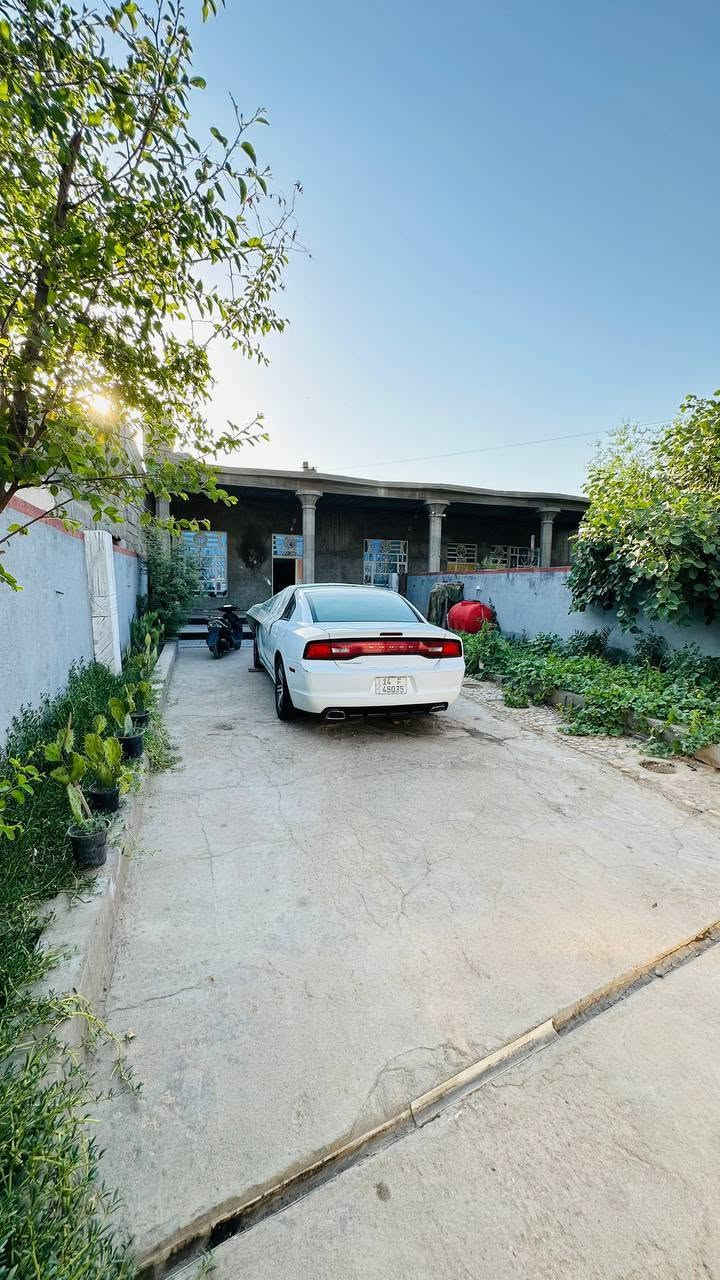 منزلان للبيع في ابوصخير بني مالك الشمالية قرب مدرسة الخالدين مساحت المنزل الواحد ٣٣٠ يحتوي كل منزل على استقبال ٧×٣ونص . وصالة ٧×٤.ومطبخ ٥×٤ونص.وثلاث
غرف. واحدة ٥ونص×٤ اثنان نفس المساحة ٤ونص×٤
المنزلان مطابقات بالبناء والمساحة السعر كل منزل 55 وبيه مجال التفاوض
للاستفسار الاتصال على الرقم 
***********
