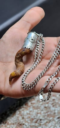 نوادر اللوي الطبيعي، مختوم ختم عام بجلد الغزال والختم داخل الفضة، صياغ...