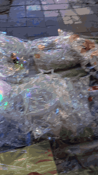 السلام عليكم نشرات رمضانيه ولوحات رمضانيه سعر القطعه 5000 دينار اللي حاب يشتري يراسلني على الخاص ويتدلل رمضان كريم وكل عام وانتم بخير


**إذا كنت صاحب هذا الإعلان وتريد حذفه لأي سبب، رجاءا أرسل رسالة إلى الدعم الفني**