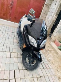 فورزه • معدل • زنون