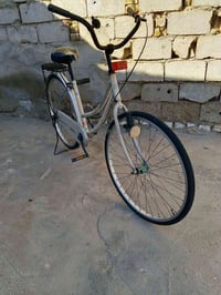 باسكل • عليه مجال • الدوانيه قضاء الشاميه