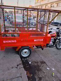 ستوتة بنزين • موديل 2025 • الشيخ معروف