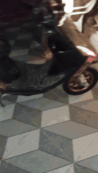 السلام عليكم ماطور ماكس عدل سرعه 120 اللبيع سعر 350 بي مجال عنوان المكان بروانه الشاعي ***********
