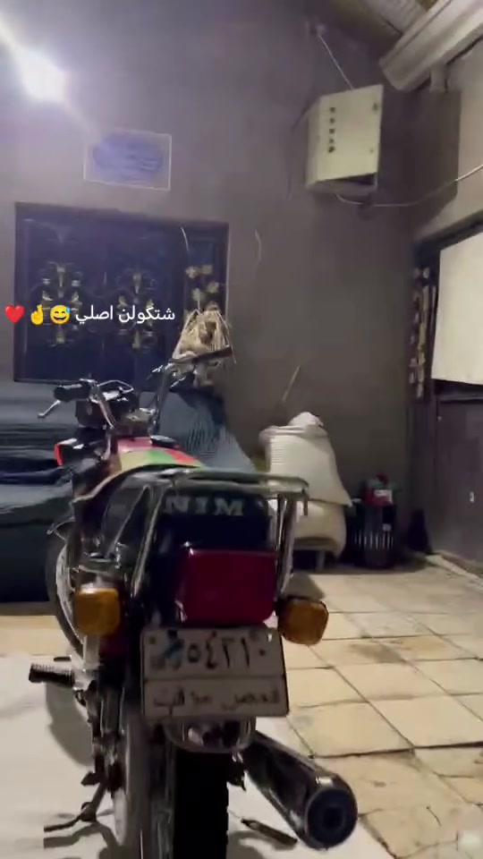 السلام عليكم دراجه لبيع موديل 23المحركهنامه شلامجه اربع أحرف أوراق اسكنر الدراجه مال جناي
لبيع او شعندك مراوس نزل السعر 550وبيها مجال
*********** 🤞🚯
