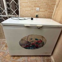 مجمدة • نظيفه • اربيل شخ احمد